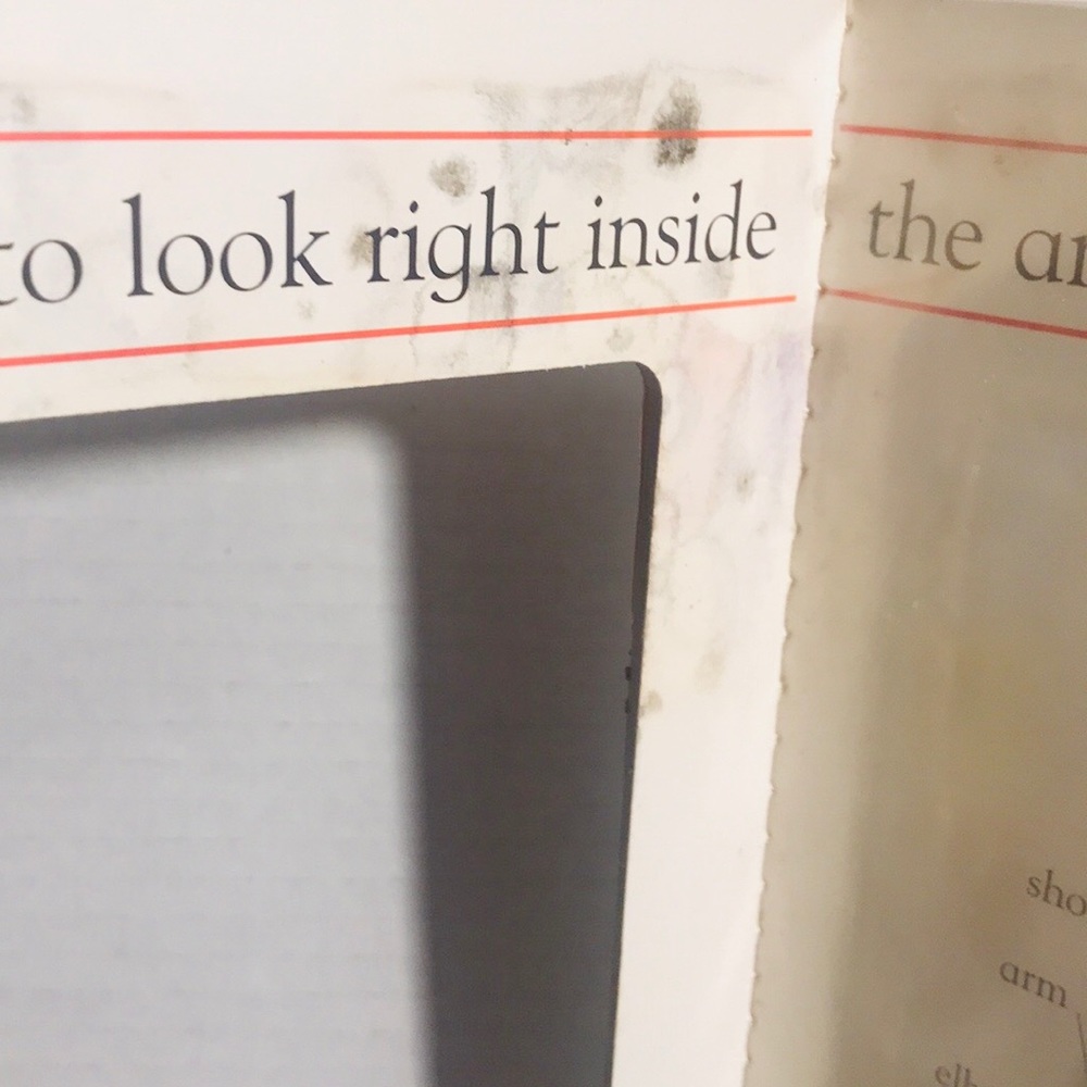 My First Body Book Christopher Rice & Melanie Rice - Picture 7 of 8